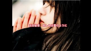 浜田省吾 - 悲しみは雪のように / 歌詞入り