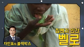 [차인표의 블랙박스]  침팬지가 키웠다고 알려진 인간, 벨로 ㅣ KBS 020623방송