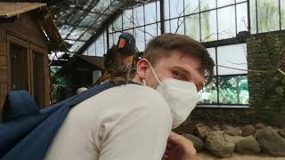 PhaiaTour - Vlog 4 - Angriff der Vögel im Weltvogelpark Walsrode