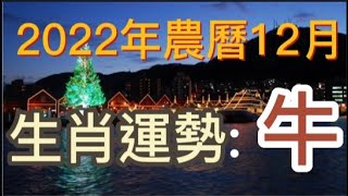 2022年農曆12月(陽曆12/23 ~ 1/21 )生肖運勢-- 牛 --