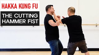 Hakka Hammer Fist - Kung Fu Report #248