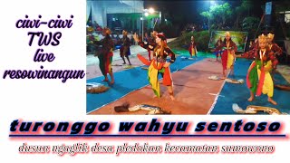 mantul‼️jaranan klasik TWS turonggo wahyu sentoso live resowinangun