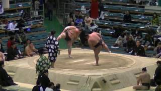 肥後嵐-琴福寿野/2017.3.20(4)/higoarashi-kotofukujuno/day9 #sumo