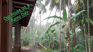 Our house on a Rainy Day - සැර වැස්ස දවසට අපේ ගෙදර. #Rainy #SriLanka