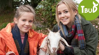 Zickenalarm (Folge 82) | Tiere bis unters Dach