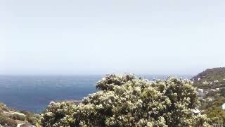 Island Bay - Cook Strait - Timelapse 20241211