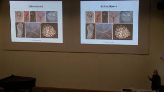 Geobiology and palaeogenomics: genes that make rocks