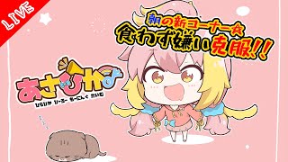 【あさひか！】朝から頑張るひかを見て「俺も今日1日がんばろっ！」って思うようになる配信【飛良ひかり / あにまーれ】