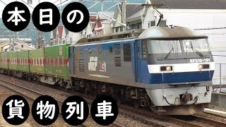 【本日の貨物列車】No.1125　2023,12,5　第59番列車　Today‘s freight train　福山レールエクスプレス！