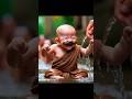 so cute little Monk 🥰🥰#cute #viral #socute #shorts #trending #little #monk #funny