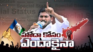 ప్రత్యేక హోదా కోసం వైఎస్సార్‌సీపీ పోరాటం..  ఢిల్లీకి ప్రత్యేక రైలు..