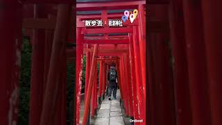 📍日本東京哪裡可以去？ #根津神社1900年悠久歷史的古廟！東京十大神社之一 #日本東京 #東京 #根津 #島嶼漫行youtube