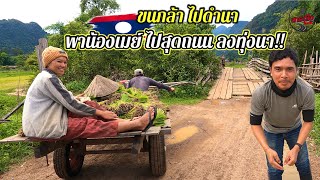 สุดถนน!! ชนบทในลาว พาน้องเมย์ สาวลาว ไปดำนา / เที่ยวลาว วิถีลาว