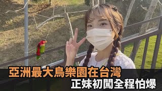 亞洲最大規模鳥樂園！成群鸚鵡「零距離狂叫」　正妹嚇歪：歐買尬－民視新聞