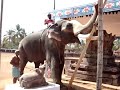 kodimaram marikkal iranikulam ulsavam youtube.mp4