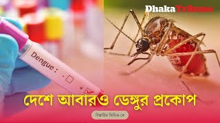 দেশে আবারও ডেঙ্গুর প্রকোপ  | Dhaka Tribune