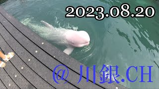 南紀への旅　初日編