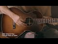 B&G Caletta Ziricote Back & Sides, Spruce Top | Idan Shneor