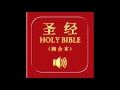 和合本圣经 • 罗马书 | Chinese Union Version Bible • Romans