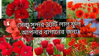 পৃথিবীর সবচেয়ে সুন্দর লাল ফুল নাম | most beautiful red flowers in the world