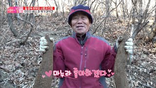 50년은 더 된 칡!! 제대로 한 건 한 남편↗ TV CHOSUN 20210131 방송 | [엄마의 봄날] 281회 | TV조선