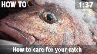 How to Care for Your Catch