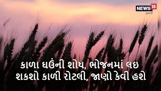 કાળા ઘઉંની શોધ, ભોજનમાં લઇ શકશો કાળી રોટલી, જાણો કેવી હશે