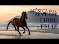 Musica Instrumental para Una Mente Libre y Feliz ¡FEEL FREE! ..fab choice...❤