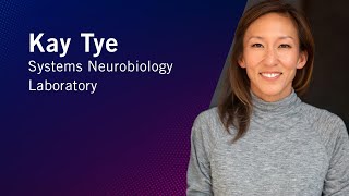 From Then to When | Meet Salk Scientists | Kay Tye