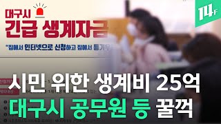 대구시민 위한 생계자금 누가 받아 갔나 봤더니 대구시 공무원 등 3천 9백여 명이 꿀꺽 / 14F