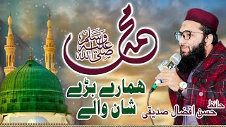 Hafiz Hassan Afzaal Siddiqui\\\\ Muhammad Hmary Bari Shan Waly