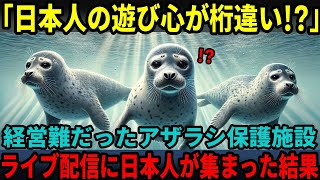 【海外の反応】日本人の遊び心が世界を虜にした理由！？「アザラシ幼稚園」が教えてくれた癒しと絆と未来・・・