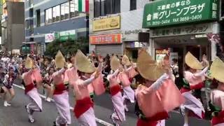 第3回小岩阿波おどり（2016/7/2） 飛鳥連@北口西会場（1周目）