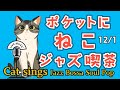 ゆるジャズ ねこ喫茶  初見様リクエスト一曲どうぞ♪ #プロシンガー#jazz #soul #bossa #vocal #radio #BGM #chill #cat