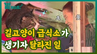 길고양이 급식소! 설치 후 동네는 어떻게 바뀌었을까?