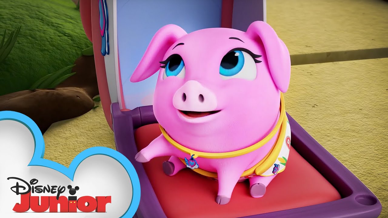 Pearl The Piglet Profile 🐷 | T.O.T.S. | Disney Junior - YouTube