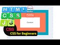 css tutorial for beginners || Margin & Padding in CSS