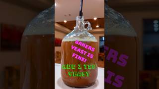 Easy Cider Mead Recipe: Homemade Honey-Apple Wine in 5 Steps 🍻 || #homebrew #spicedcider