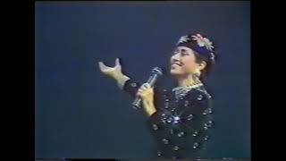 1985 1986梅艷芳盡顯光華演唱會完整版外掛字幕