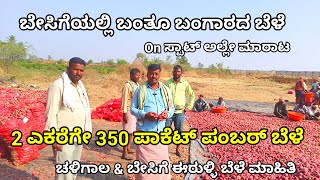 ಈರುಳ್ಳಿ ಬೆಳೆಯುವ ವಿಧಾನ | onion farming kannada | high held verity onion crop | ಈರುಳ್ಳಿ ಕೃಷಿ ಮಾಹಿತಿ