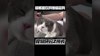 撸猫手法学的好，猫咪把你当个宝～ #宠物 #科普