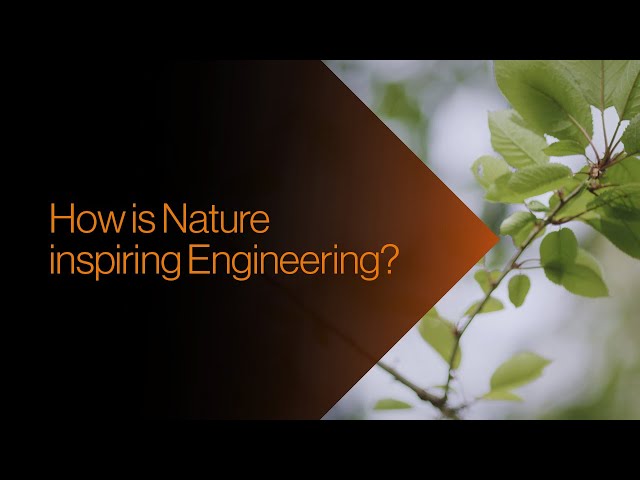 Nature Inspired Engineering Media Faculty Of Engineering