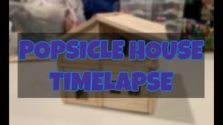 Building A Popsicle Stick House!!