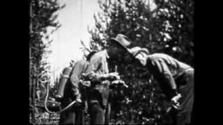 Common Errors in Fighting Forest Fires Part 2