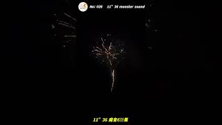 11寸高36发魔音烟花 11”36shot monster sound fireworks