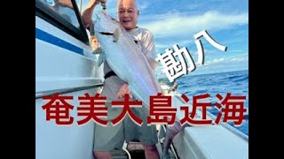 [Vlog奄美釣船アルカトラズ] TEAM　M様御一行　泳がせ釣り