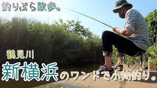 【小物釣り】超ニッチ！新横浜のワンドで小物釣り。鶴見川。【淡水】