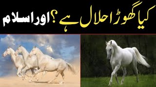 kiya ghora halal Han? By Mufti Ahmad Saeed Shaheen