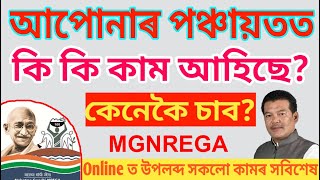 আপোনাৰ গাওঁ পঞ্চায়তত কি কি কাম আহিছে ? কেনেকৈ চাব ? সকলো কামৰ সবিশেষ চাওঁক