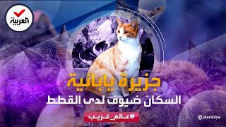 عالم غريب | جزيرة يابانية سكانها ضيوف لدى القطط